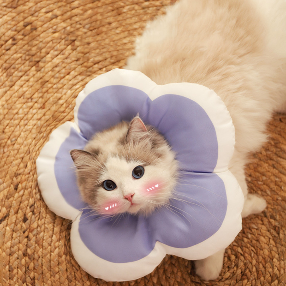 小花伊麗莎白圈 芋泥紫 寵物頸圈 絕育圈 防舔頭套, , large