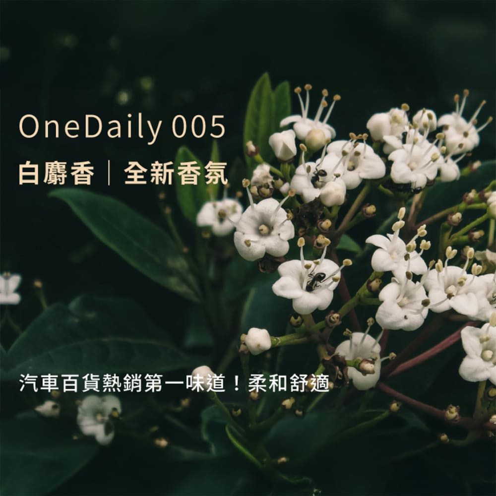 [OneMore Co., Ltd.] Onedaily Fragrance Block (Set of 2) - White Musk, , large