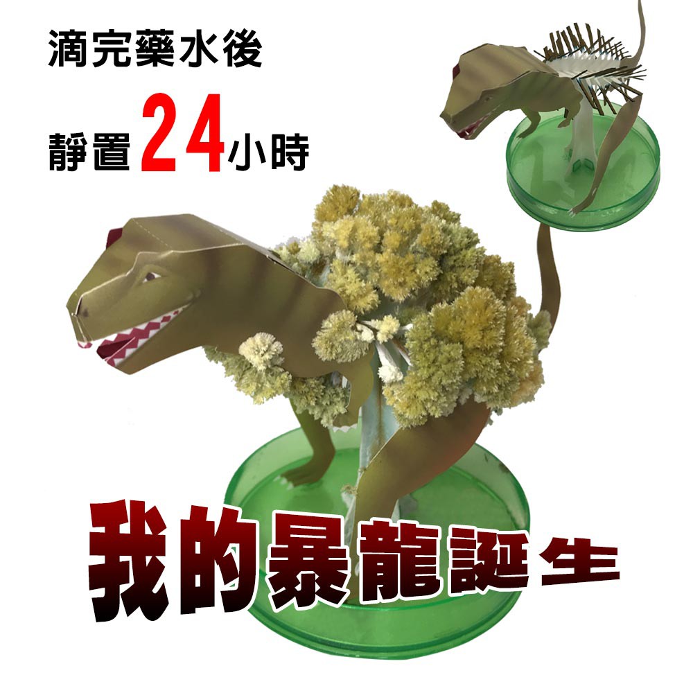 金德恩 GS MALL 台灣製造 魔法開花成長恐龍樹 開花恐龍樹 恐龍樹 裝飾恐龍 開花樹 暴龍 神奇開花 成長樹 居家裝飾, , large
