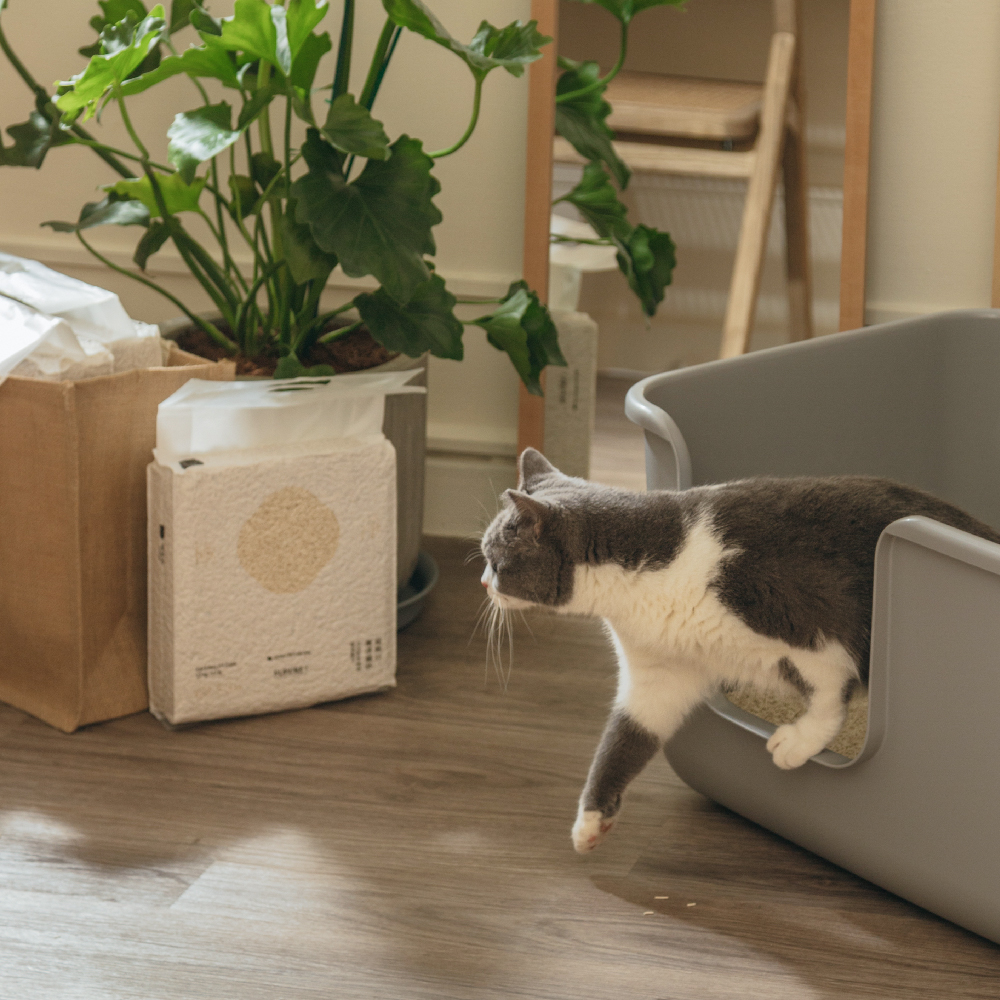[Fore Wind]Meow-Servant SUPURE！Cat Tofu Litter 1.5mm x 3bags, , large