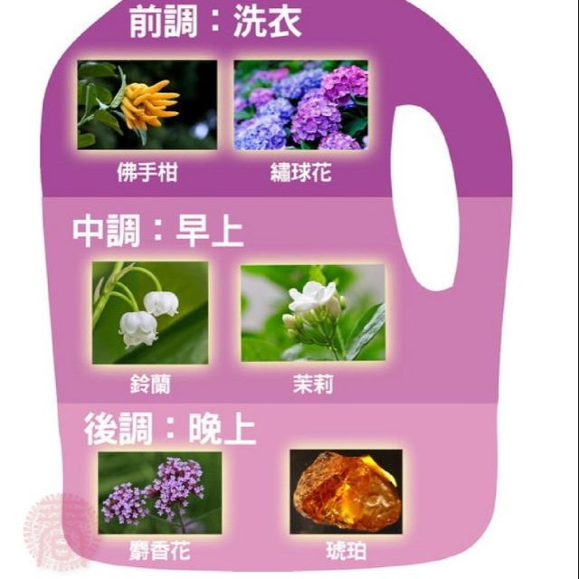 【衣桔棒】香水洗衣凝露 補充包1500g 香水洗衣精 手洗精 中性洗衣精 貼身衣物清潔, , large