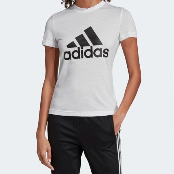 DZ0013, , large