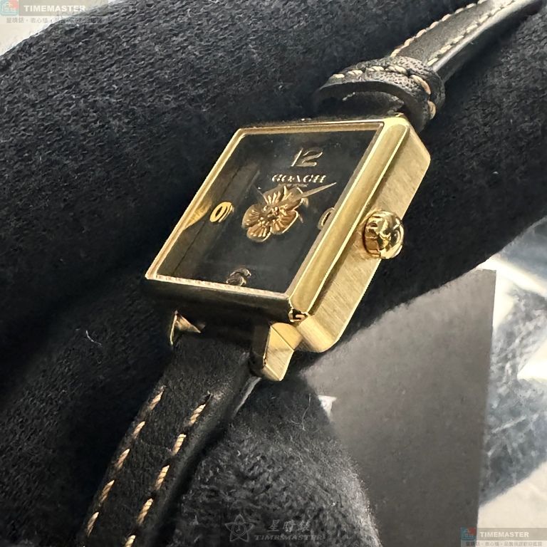 [TIMEMASTER] COACH watch, 22mm, CH00220, , large