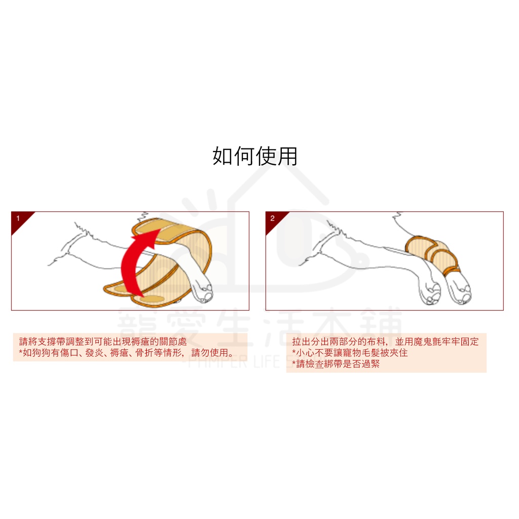 【寵愛生活本舖】PETIO寵物關節輔助支撐帶（中號）四入 派地奧, , large