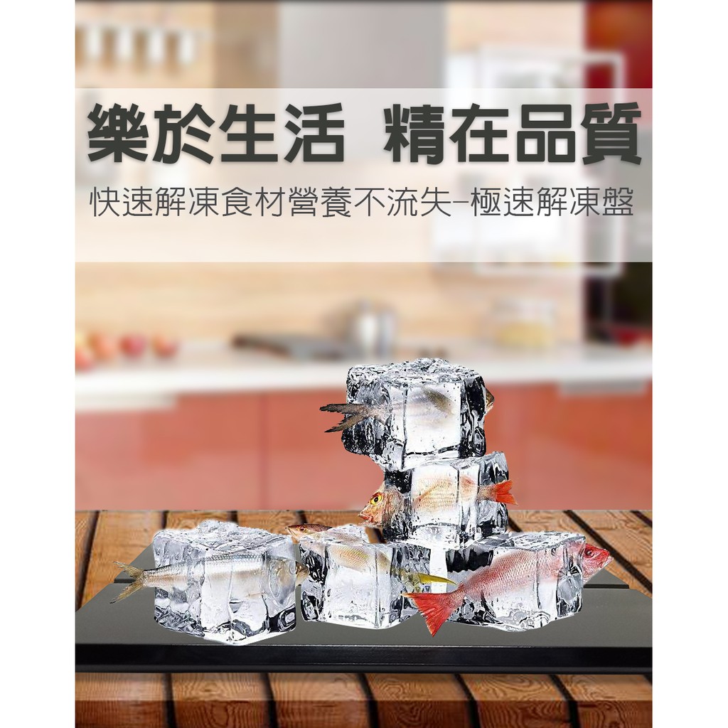 金德恩 GS MALL 台灣製造 一入 急速解凍盤 解凍盤 解凍板 急速盤 解凍器 快速解凍板 解凍料理 料理解凍盤, , large