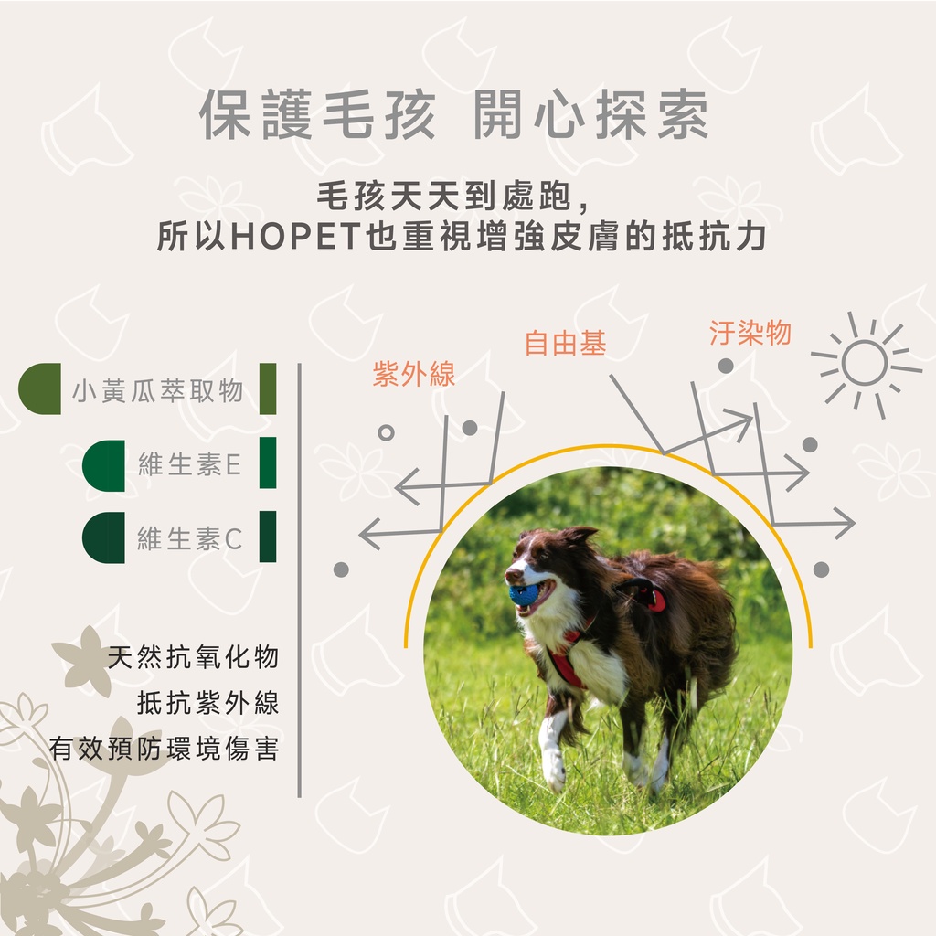 [HOPET] Organic plant extract pet shampoo, refreshing and oil-removing, , large