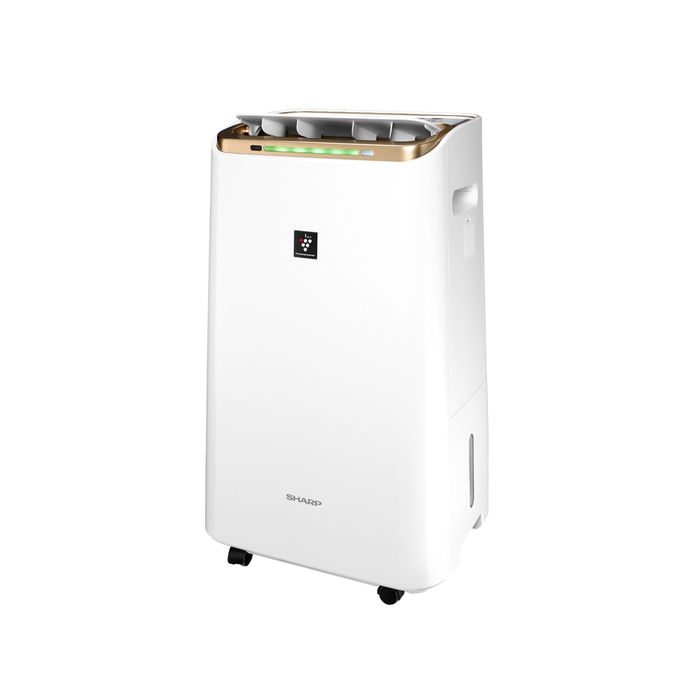 SHARP 夏普 12L 節能一級 自動除菌離子2合1空氣清淨除濕機 DW-LT12FT-W, , large
