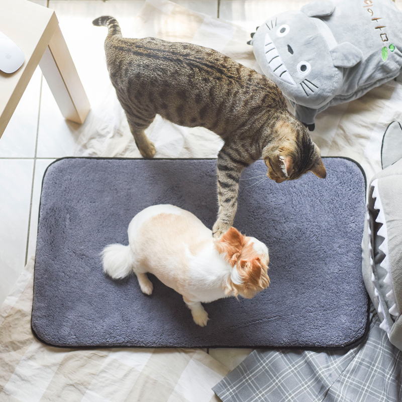 hachi Multifunctional Pet mat , , large