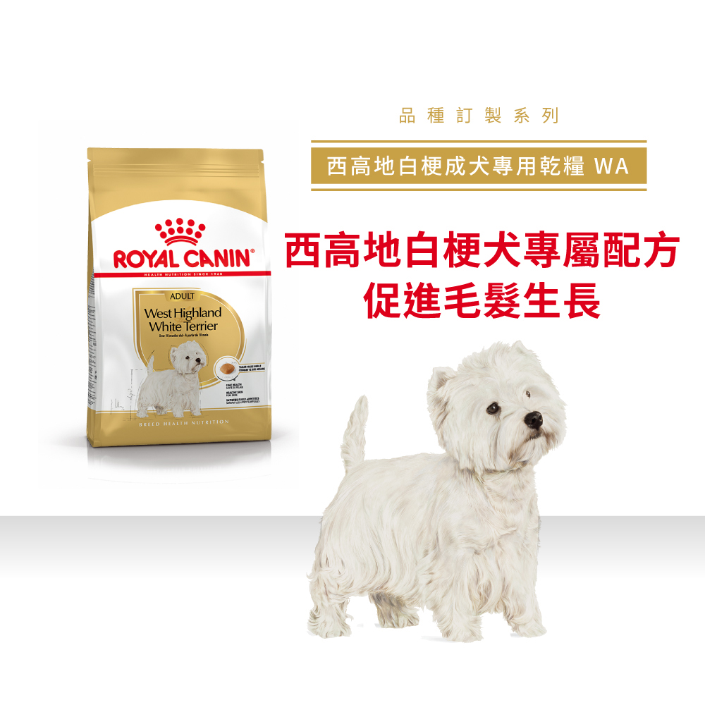 【Royal Canin法國皇家】西高地白梗成犬WA, , large