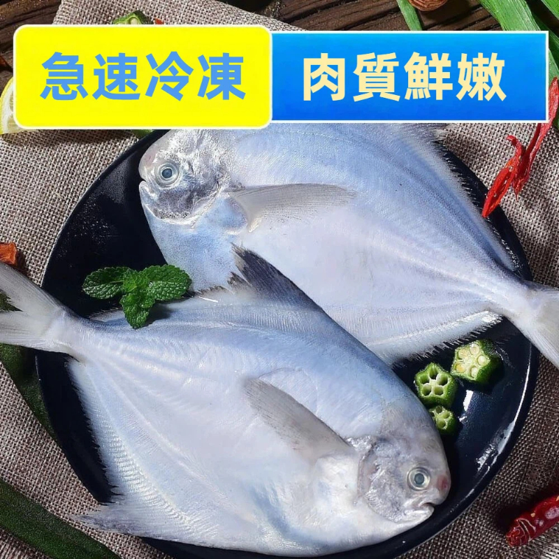 【吾家有貓-海鮮屋 】船上急凍頂級白鯧 約450g 年菜必備