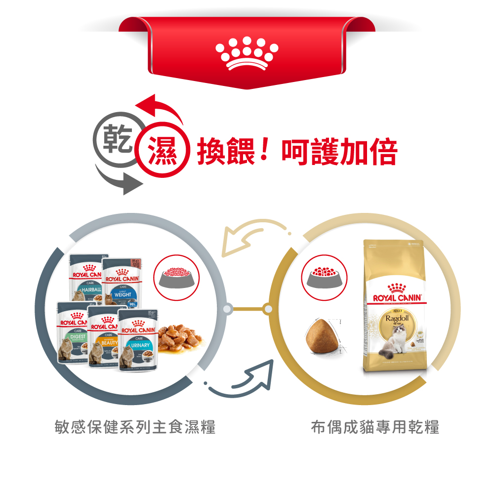 【Royal Canin法國皇家】布偶成貓RD32, , large