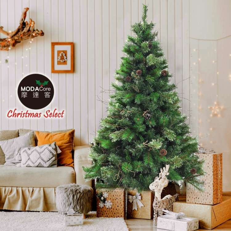 XMAS TREE