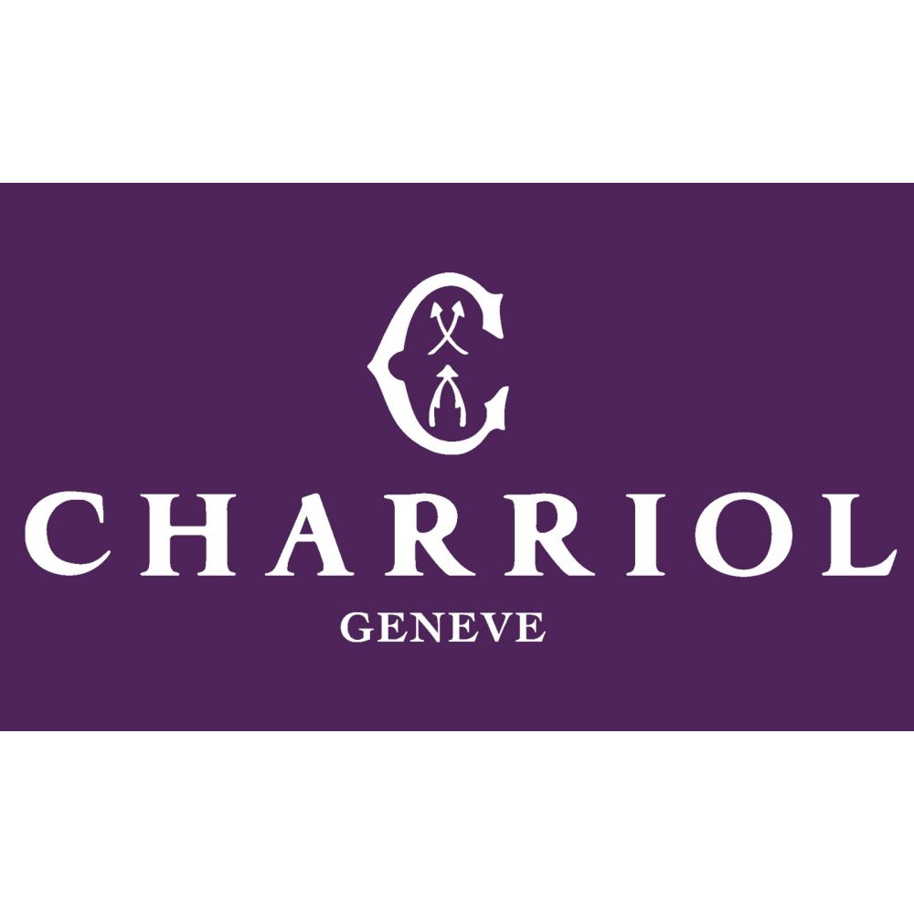 CHARRIOL 夏利豪 FOREVER Magnifique 鋼索項鍊 520禮物 送禮 08-104-1139-42, , large