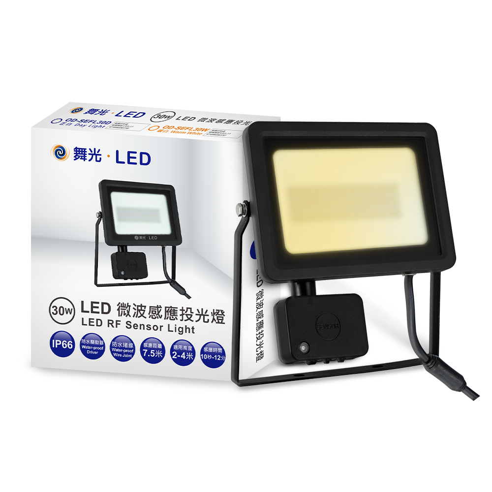 DanceLight舞光 微波感應泛光燈30W IP66防水 防眩強化玻璃(白光/黃光), , large