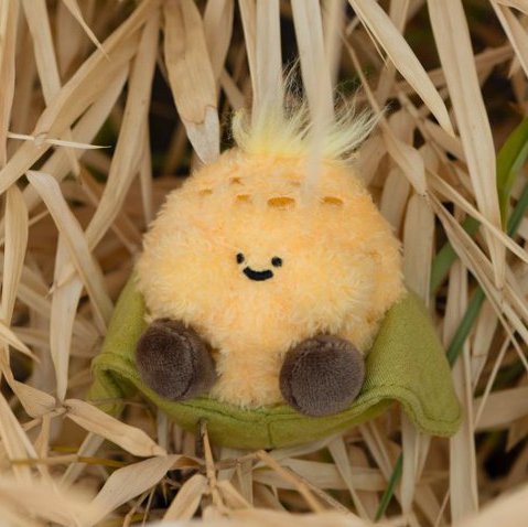 【際洋文化】遇見米好-玉米, , large