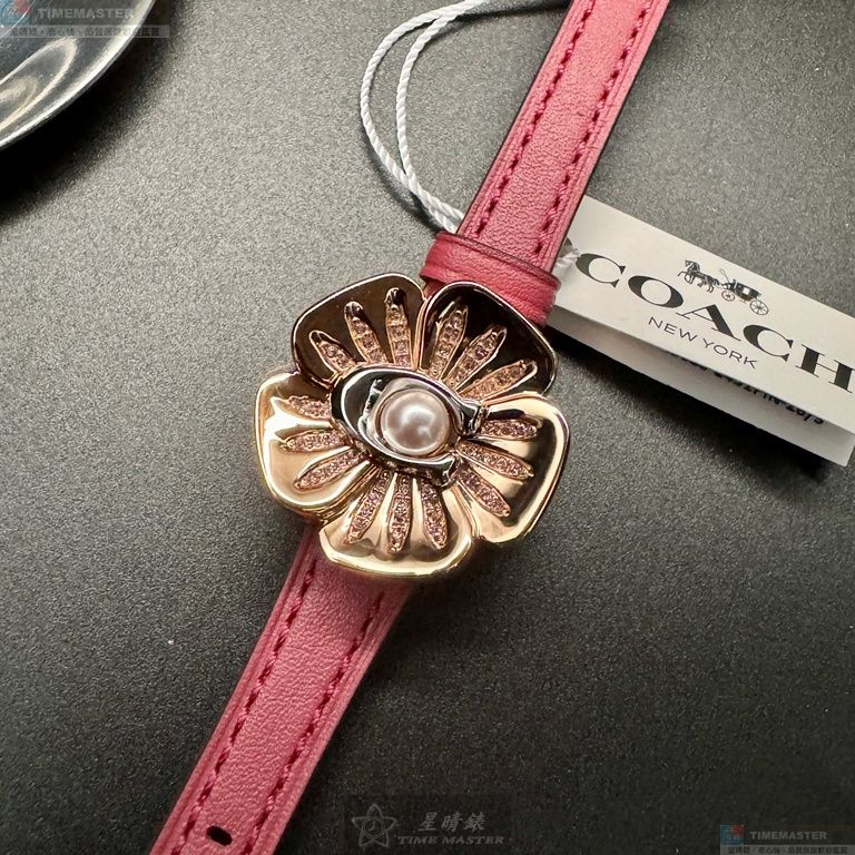 [TIMEMASTER] COACH watch, 28mm, CH00178