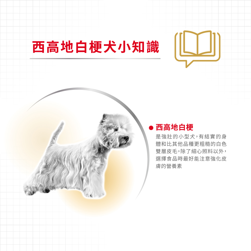 【Royal Canin法國皇家】西高地白梗成犬WA, , large
