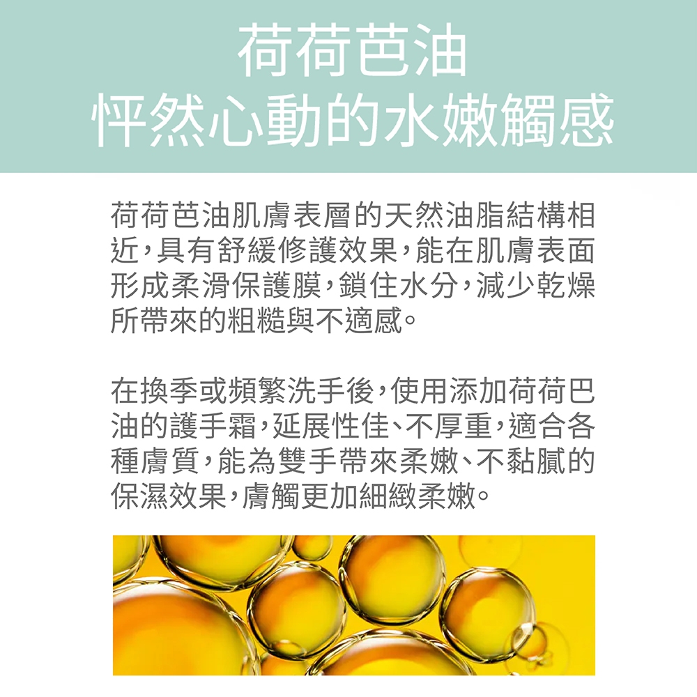 【FJ豐傑生醫】神經醯胺護手霜-50ml/支(保濕修護ｘ輕盈不黏膩), , large