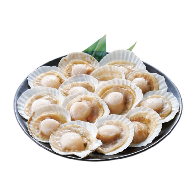 Scallop with shell, , large