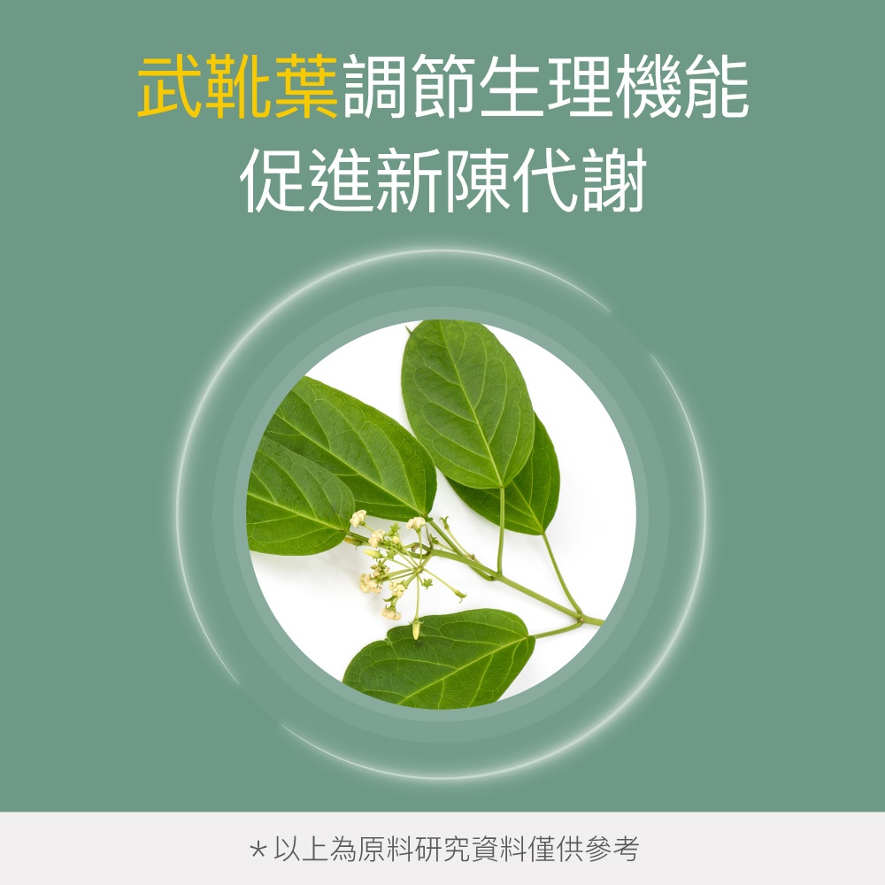 【FJ豐傑生醫】專利苦瓜胜肽+武靴葉30顆/袋-嚴選台灣花蓮山苦瓜·苦瓜胜肽，鉻鋅維持醣類正常新陳代謝, , large