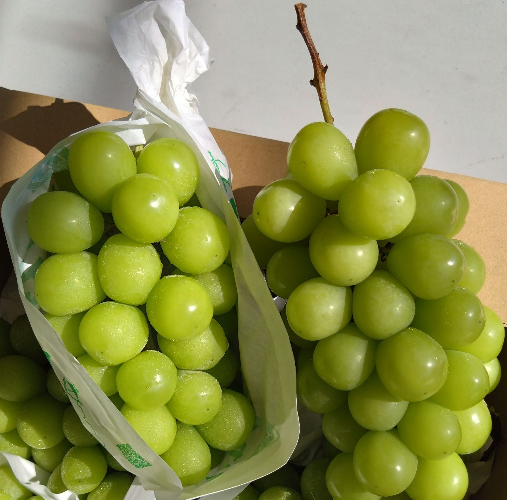 Yamanashi, Japan (Shine Muscat Grapes), , large