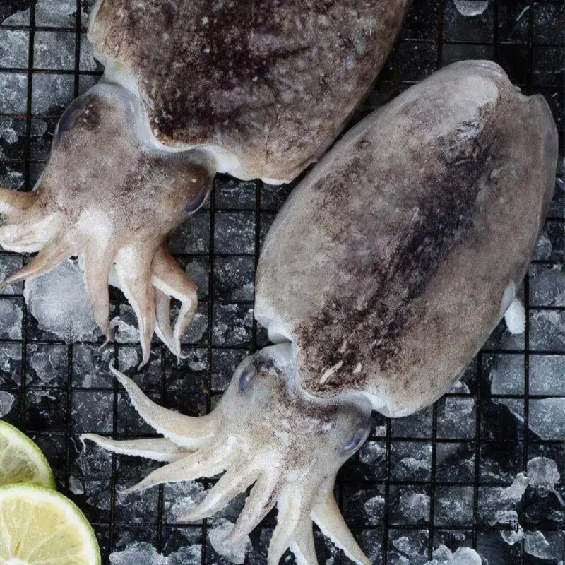 【吾家有貓-海鮮屋 】特級鮮Q厚實大花枝 約350克重 減脂/年菜 聖品, , large