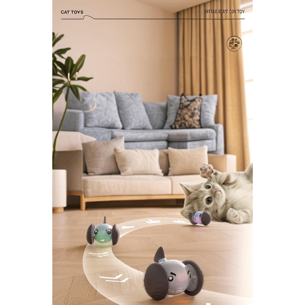 Pet pufferfish car, , large