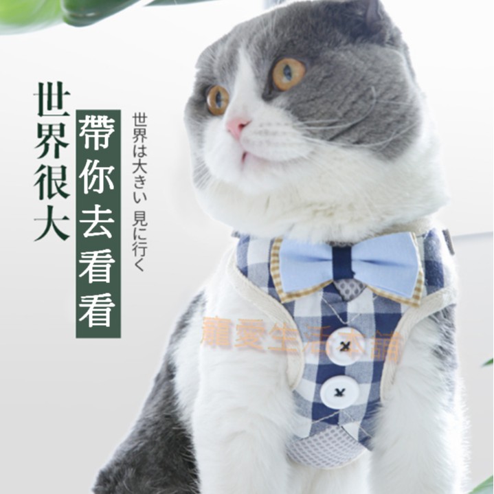 【寵愛生活本舖】小型寵物寵物領結襯衫胸背帶 牽引繩 迷你犬 小動物專用外出拉繩 背心式 領結背心 蝴蝶結胸背帶, , large