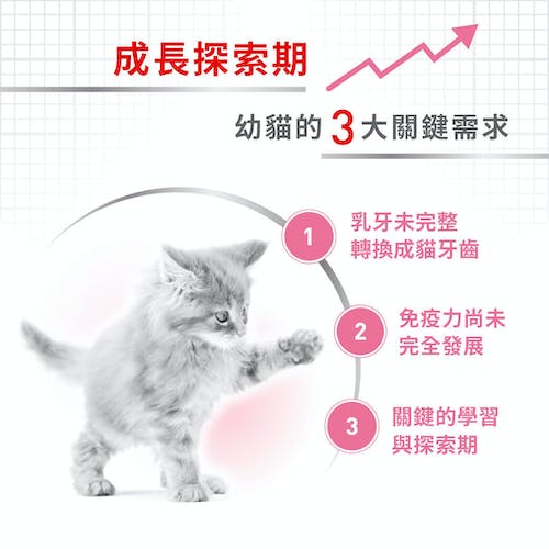 Royal Canin, , large