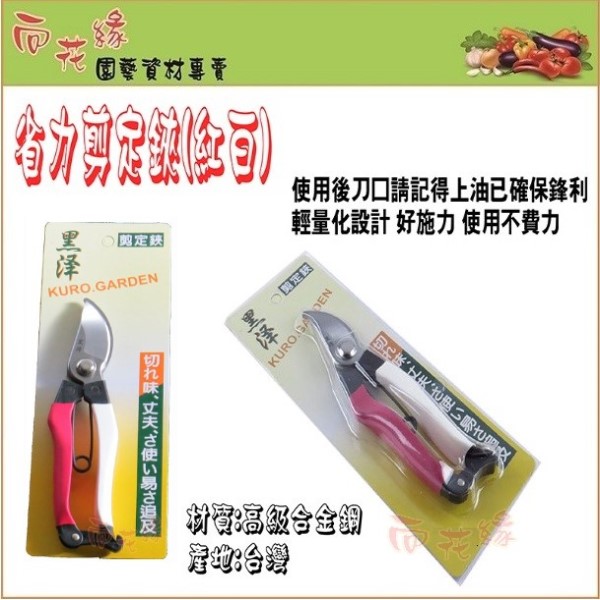 Kurosawa Red & White Handle Pruning Shears (Garden Scissors) &ndash; 18cm, , large