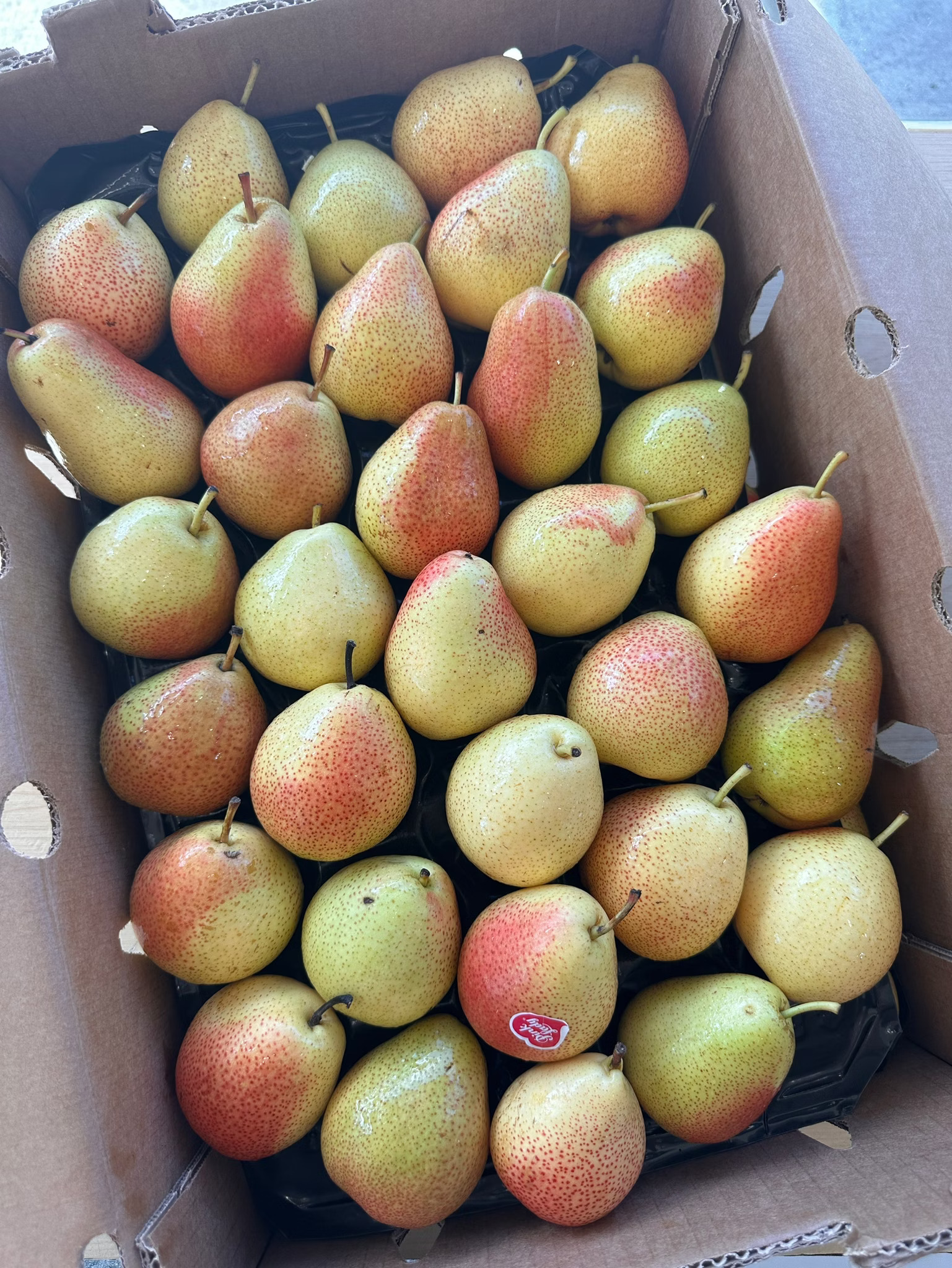 Pear, , large