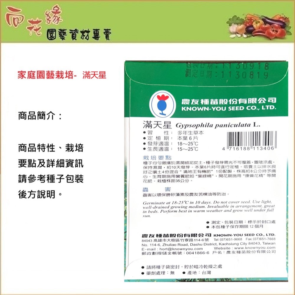 NongYou Gypsophila Flower Seeds, , large