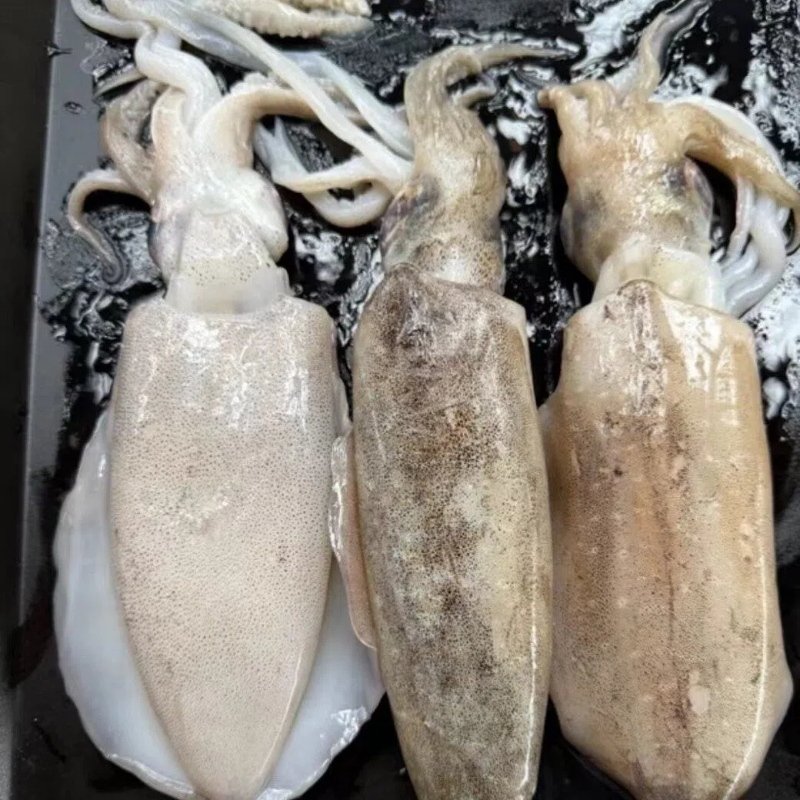 【吾家有貓-海鮮屋 】高品質野生軟絲 /鮮甜脆爽, , large