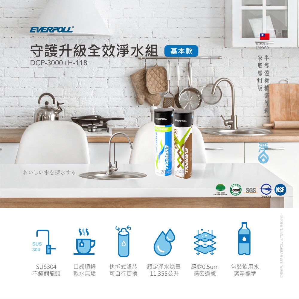 【麗水生活】愛科濾淨 EVERPOLL 雙道全效過濾器 DC-1000F DC-2000F(DCP-3000)公司貨, , large