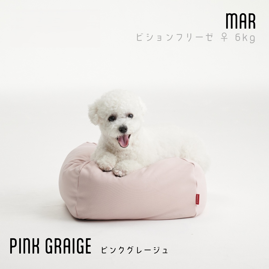 Bean bag for pet, , large