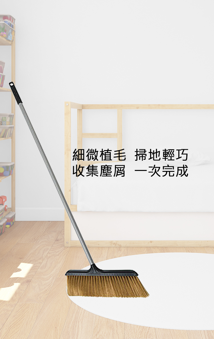 金絲掃把-3支, , large