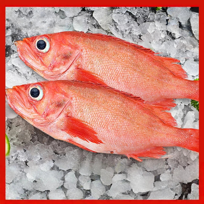 【吾家有貓-海鮮屋 】深海野生紅條 約450克重 年菜必備, , large