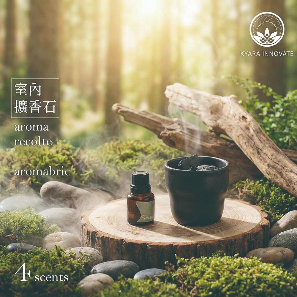 【this-this】KYARA aroma recolte aromabric 室內擴香石, , large