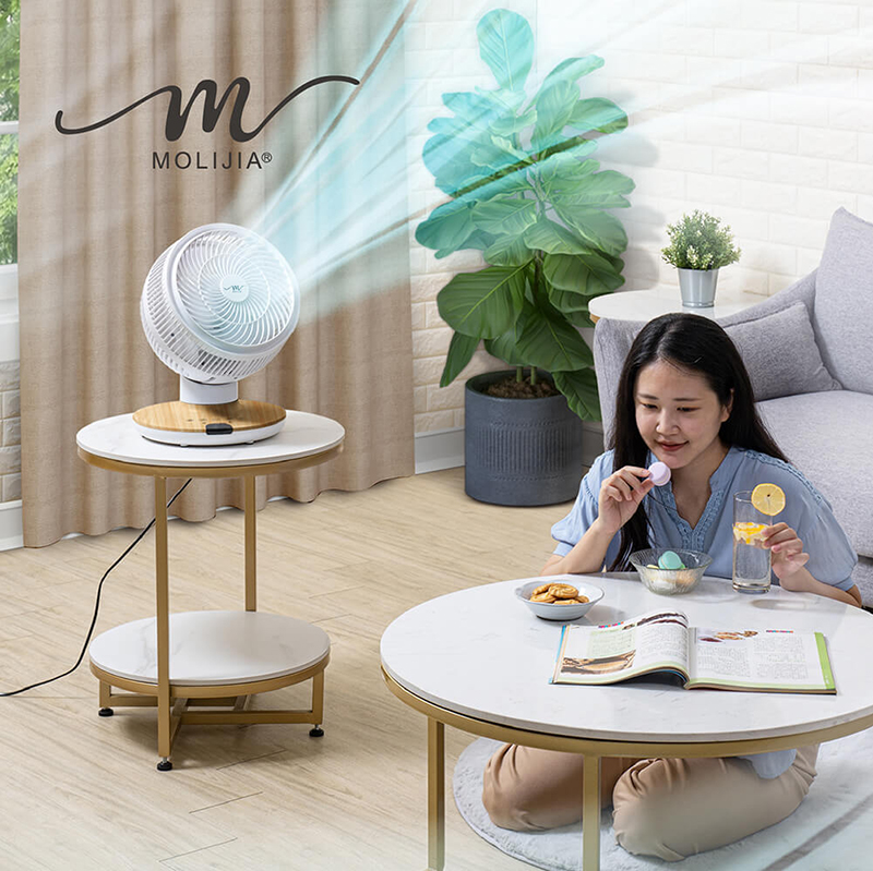 MOLIJIA M187 Fully Automatic DC Inverter Brushless Circulating Fan - 9-inch - White Wood Grain / Desktop / DC Fan, , large