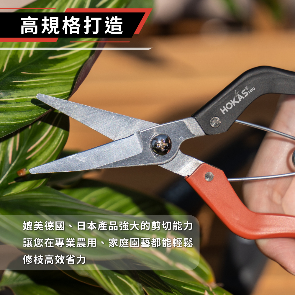 【HOKAS】專業芽切剪 園藝剪刀 修枝剪刀 園藝採果 花剪 切花 S535, , large