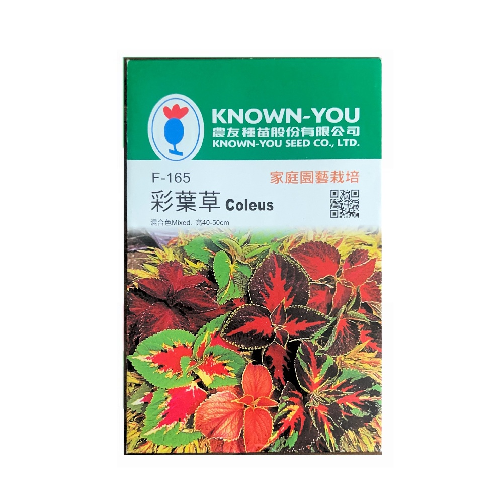 【向花緣】農友 彩葉草 - 花卉種子