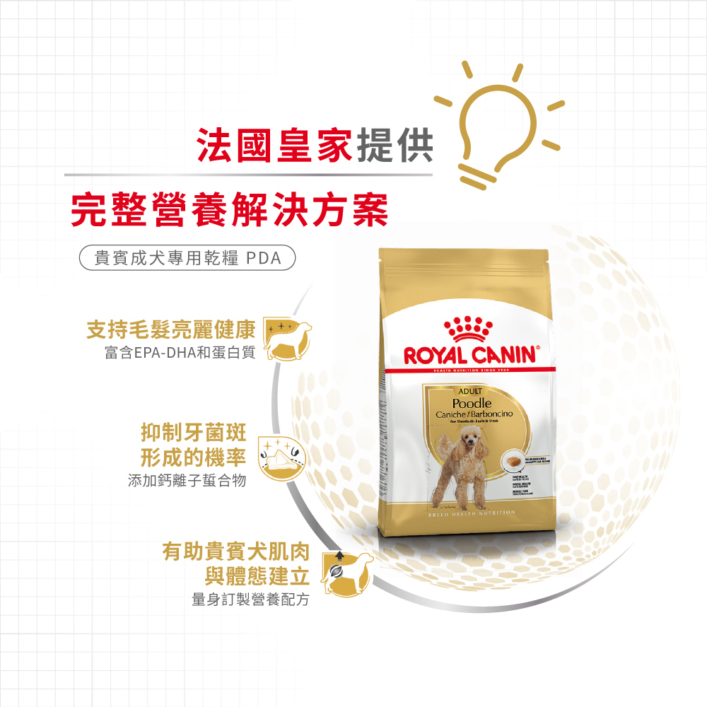 【Royal Canin法國皇家】貴賓成犬PDA, , large