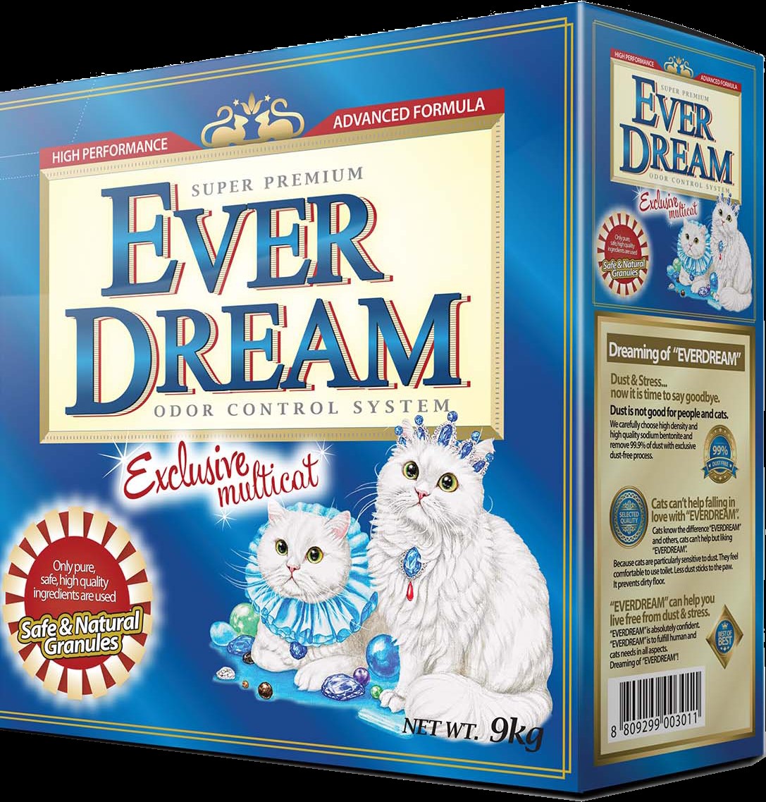 EVER DREAM