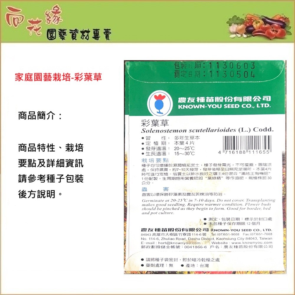 NongYou Coleus Flower Seeds, , large