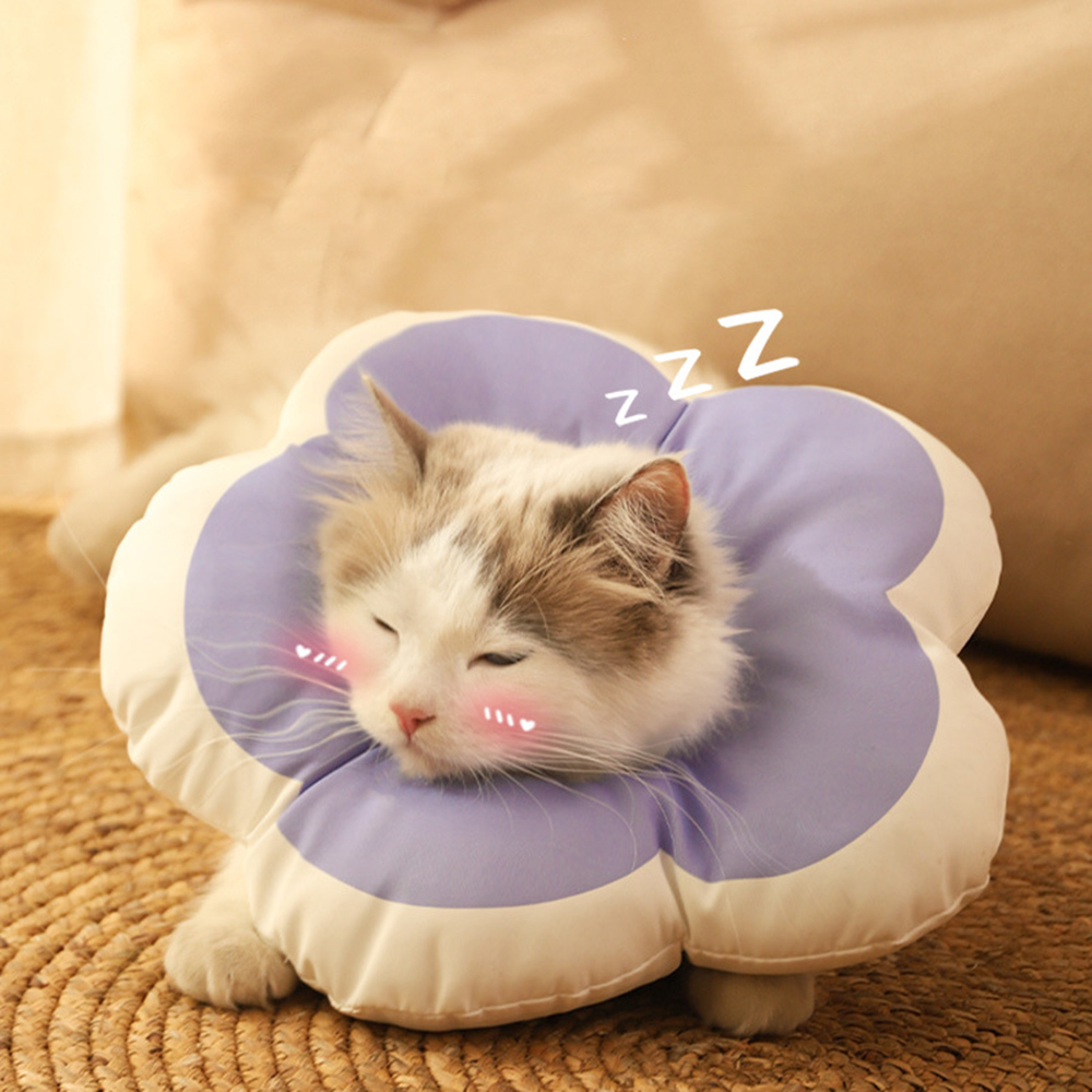 小花伊麗莎白圈 芋泥紫 寵物頸圈 絕育圈 防舔頭套, , large