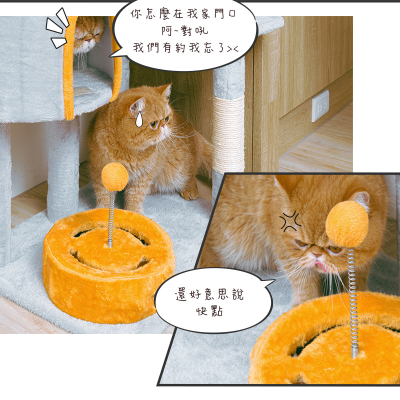 【Y HOUSE】Four views and one room Yunmiao House cat house/cat jumping platform/cat climbing frame/cat bed/cat toys/flannel/large cat bed, , large