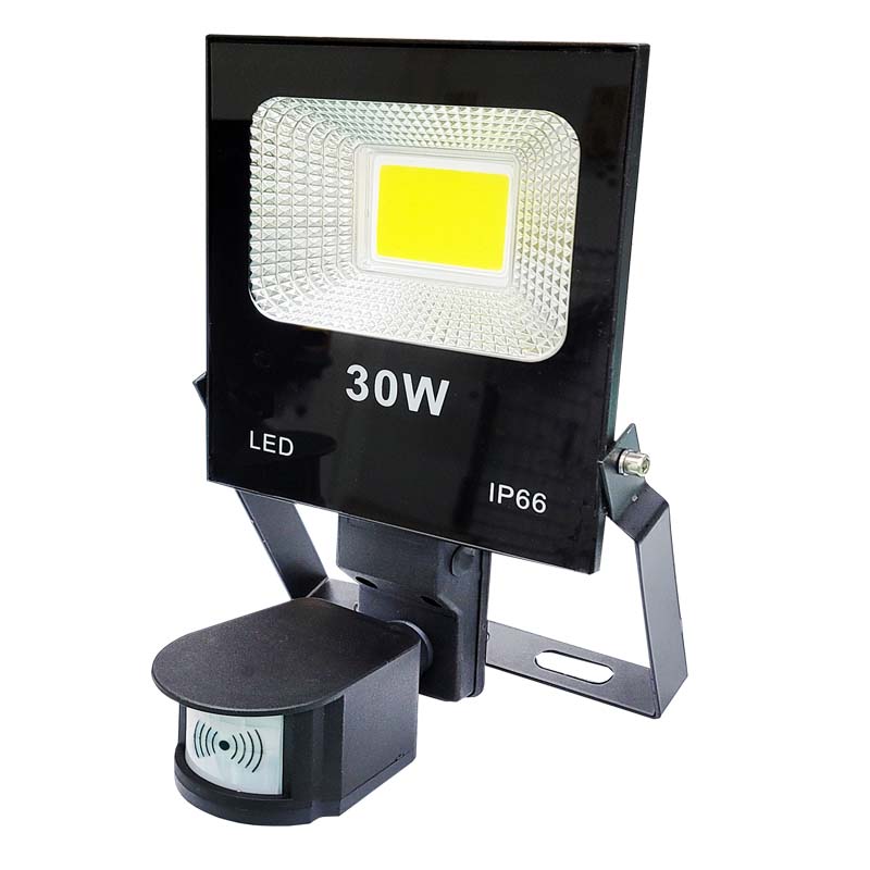 【感應王】HC-830A  30W戶外微波感應投光燈(白光-台灣製) 可調日夜,距離及時間, 白光, large