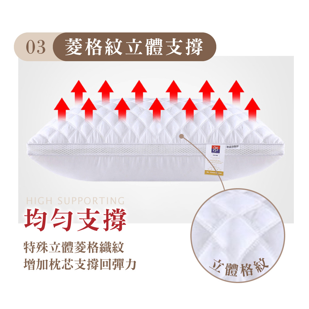 [ Pure Sleep純好眠 ] 羽絲絨飯店枕芯, , large