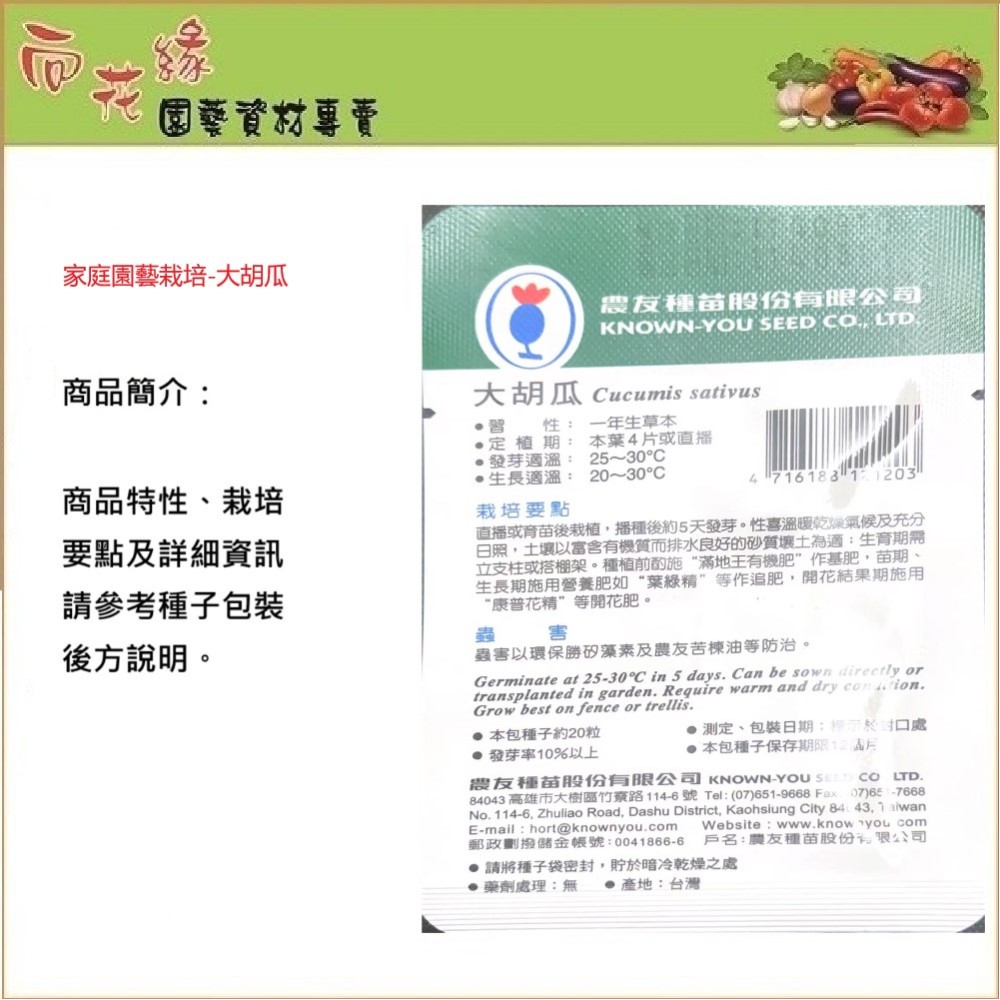 NongYou Large Cucumber Seeds, , large