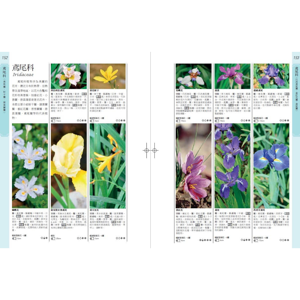 《南門書局》花百科 一巨冊~花卉.觀葉植物.多肉植物.觀果植物, , large